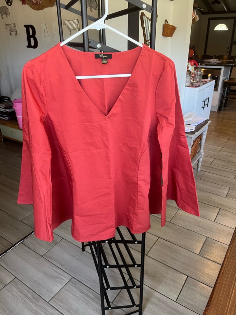 Cupio Coral V-Neck Long Sleeve Women's Blouse